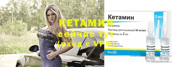 крисы Богородицк