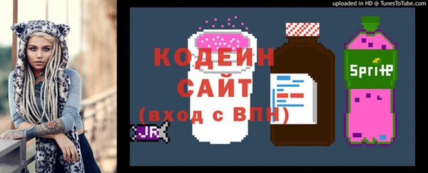 крисы Богородицк