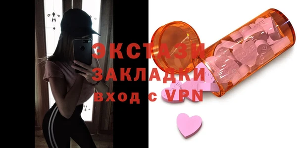 крисы Богородицк