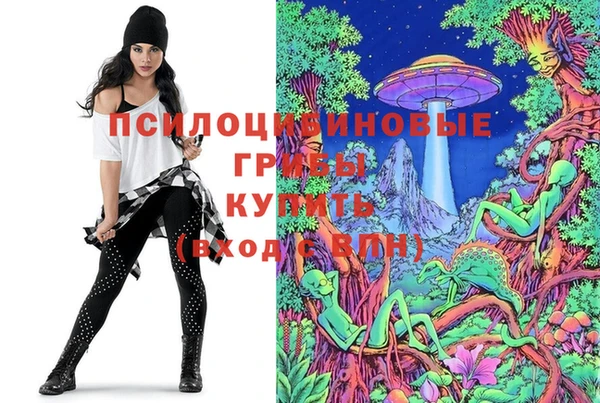 MDMA Богданович