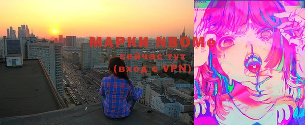 крисы Богородицк