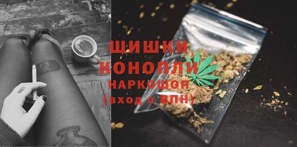крисы Богородицк