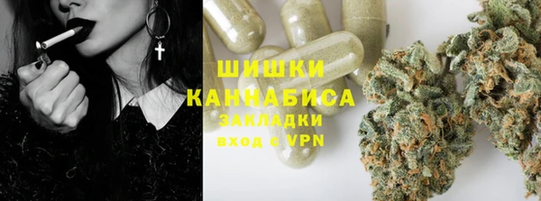 крисы Богородицк