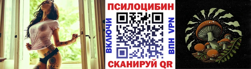 Псилоцибиновые грибы MAGIC MUSHROOMS  даркнет сайт  Нижний Тагил 